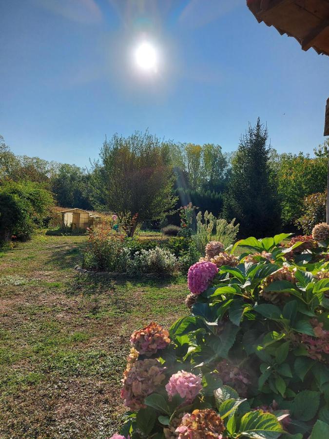Hotel Le Moulin De L'Etang Chaneins Zewnętrze zdjęcie