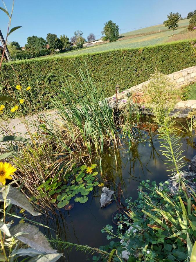 Hotel Le Moulin De L'Etang Chaneins Zewnętrze zdjęcie