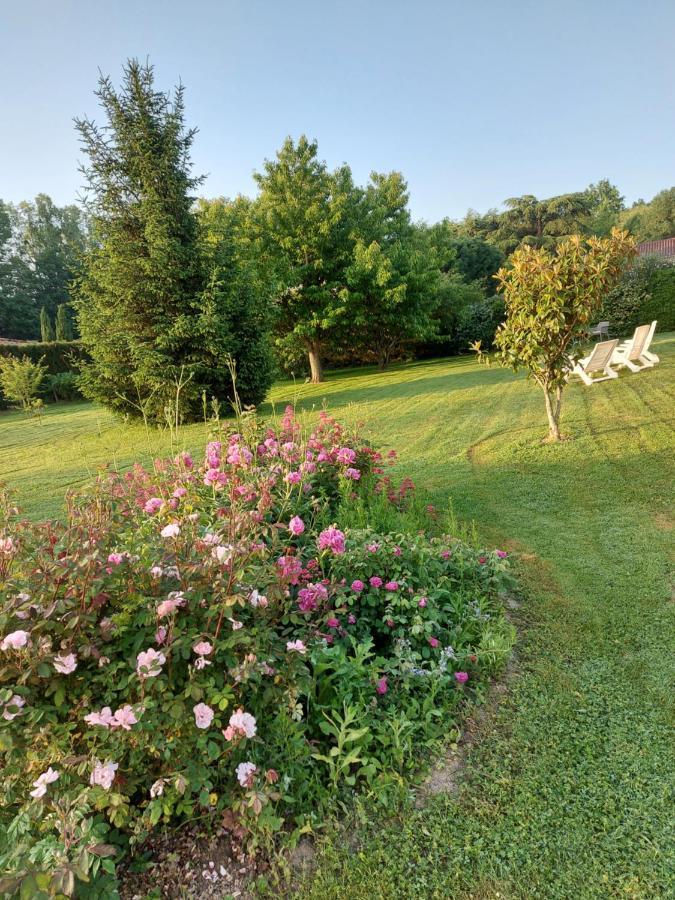 Hotel Le Moulin De L'Etang Chaneins Zewnętrze zdjęcie
