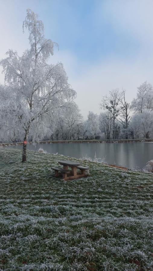 Hotel Le Moulin De L'Etang Chaneins Zewnętrze zdjęcie